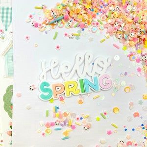 Hola adorno acrílico de primavera / para scrapbooking / fabricación de papel / fabricación de tarjetas / embellecimiento / grabado / bricolaje