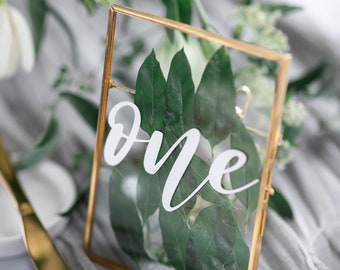 Tropical Gold Wedding Table Number Floating Frame with Leaf