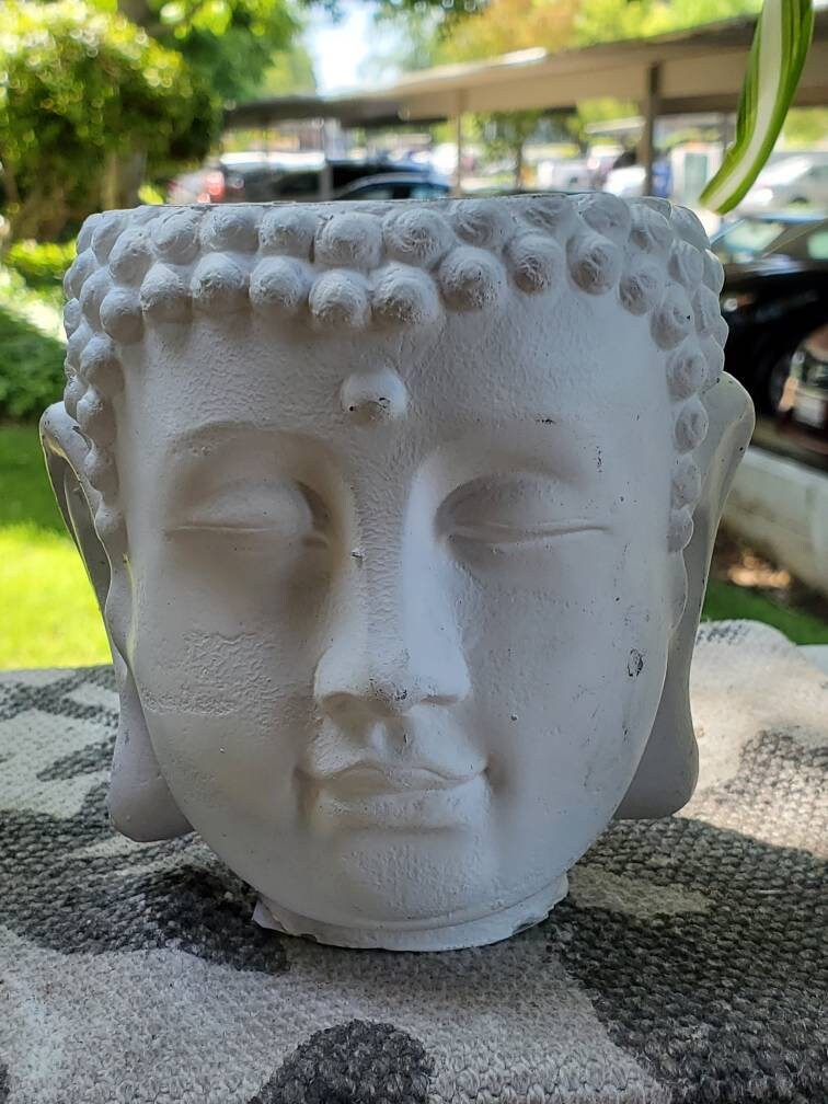 Buddha Head Cement Planter/ Home Decor/ Boho Decor/ New Age Etsy