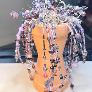 Planta colgante de cuentas moradas en maceta de terracota