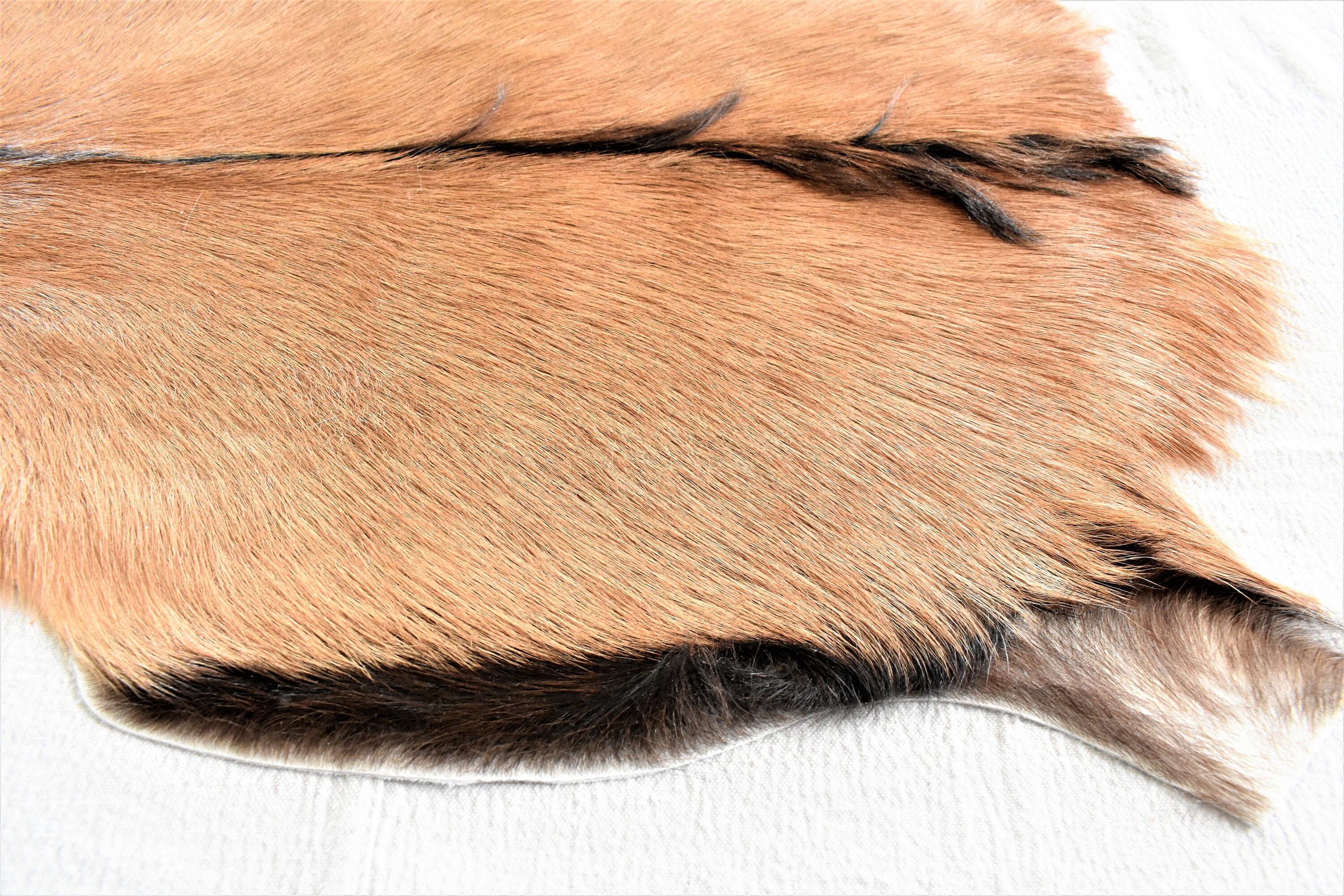 Genuine Goat Skin Rug Real Goat Skin Throw Rustic & Etsy