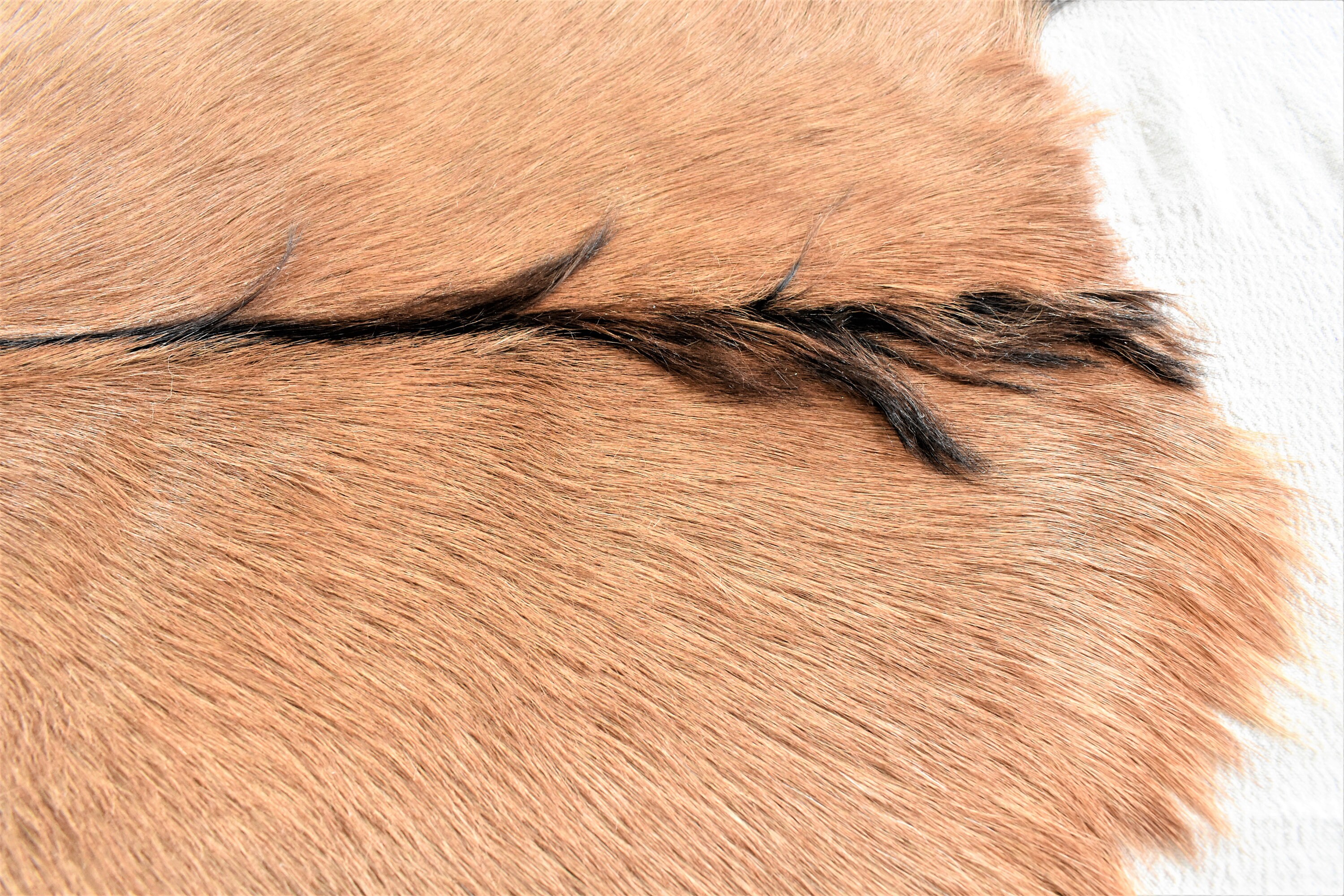 Genuine Goat Skin Rug Real Goat Skin Throw Rustic & Etsy