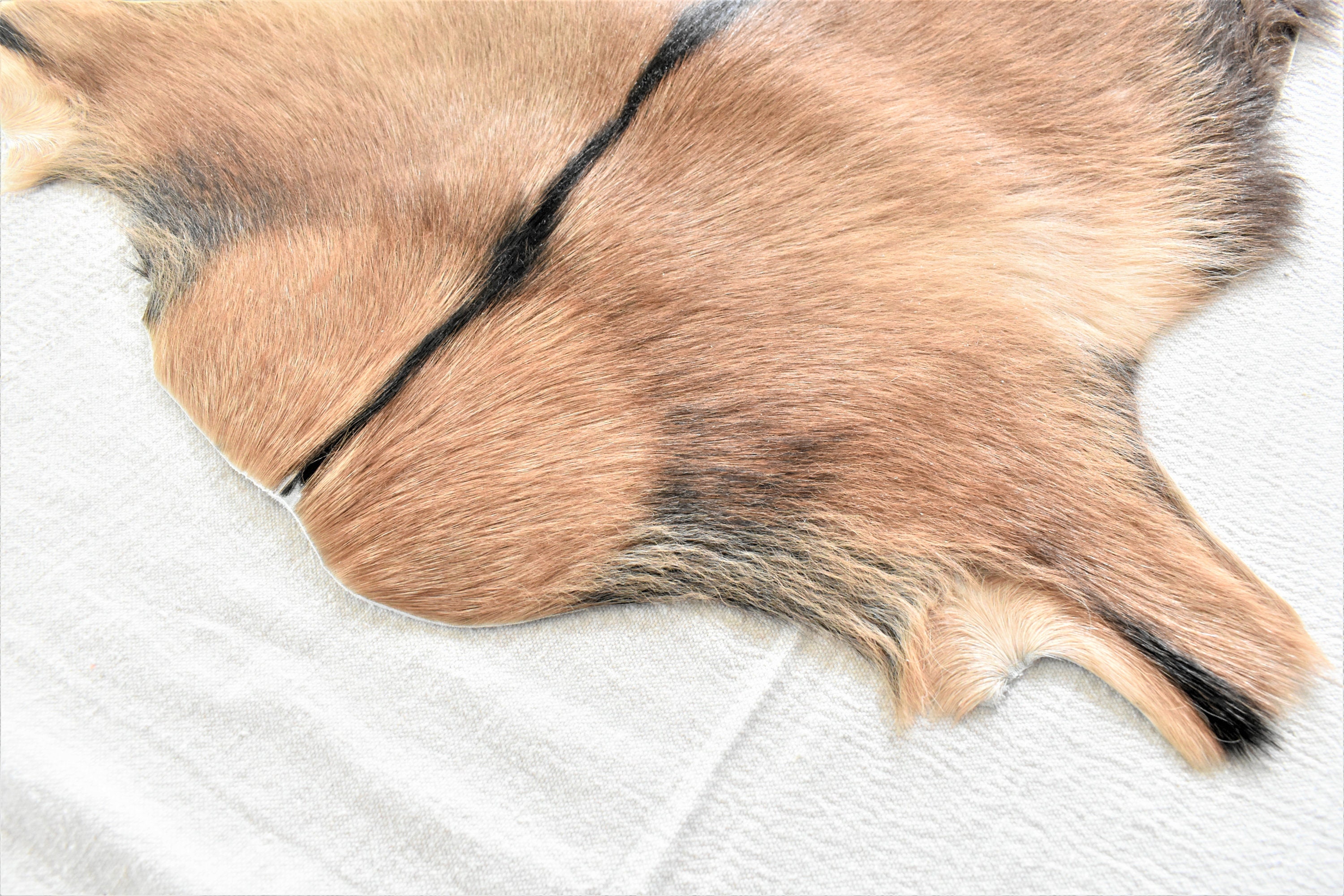 Genuine Goat Skin Rug Real Goat Skin Throw Natural Goat Skin Etsy