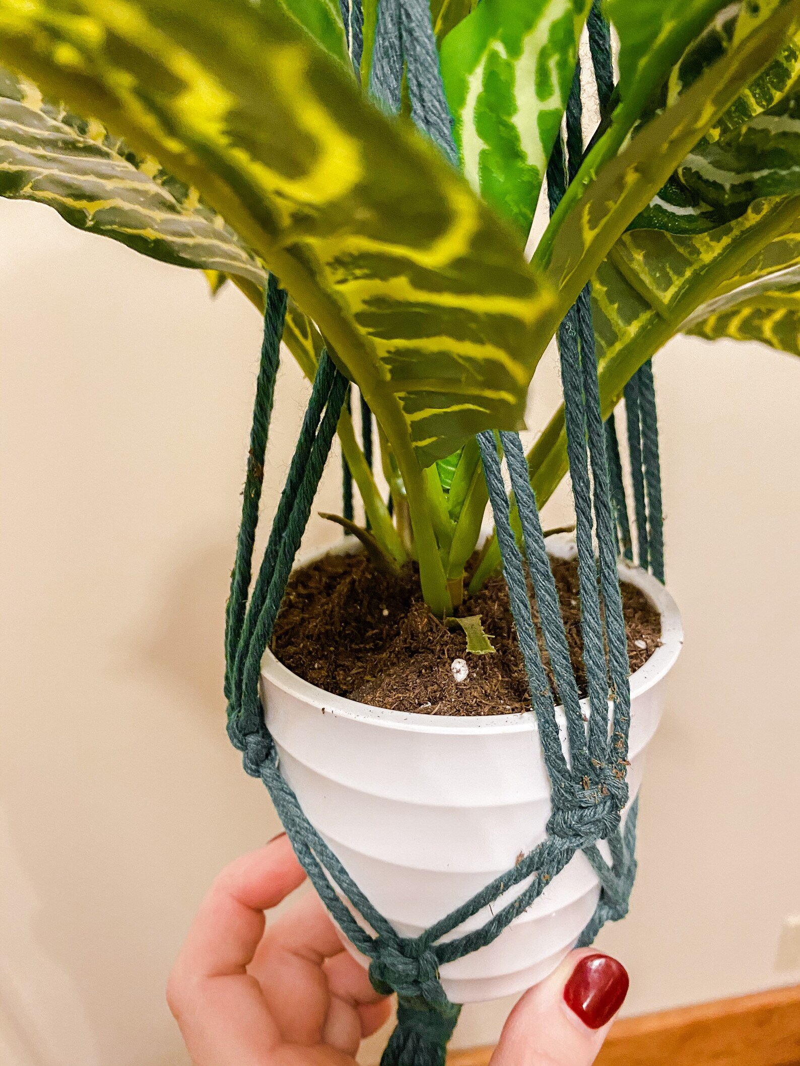 Artificial Zebra Plant in Dark Blue/Greenish Handcrafted Etsy