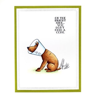 Dog with flower cone online