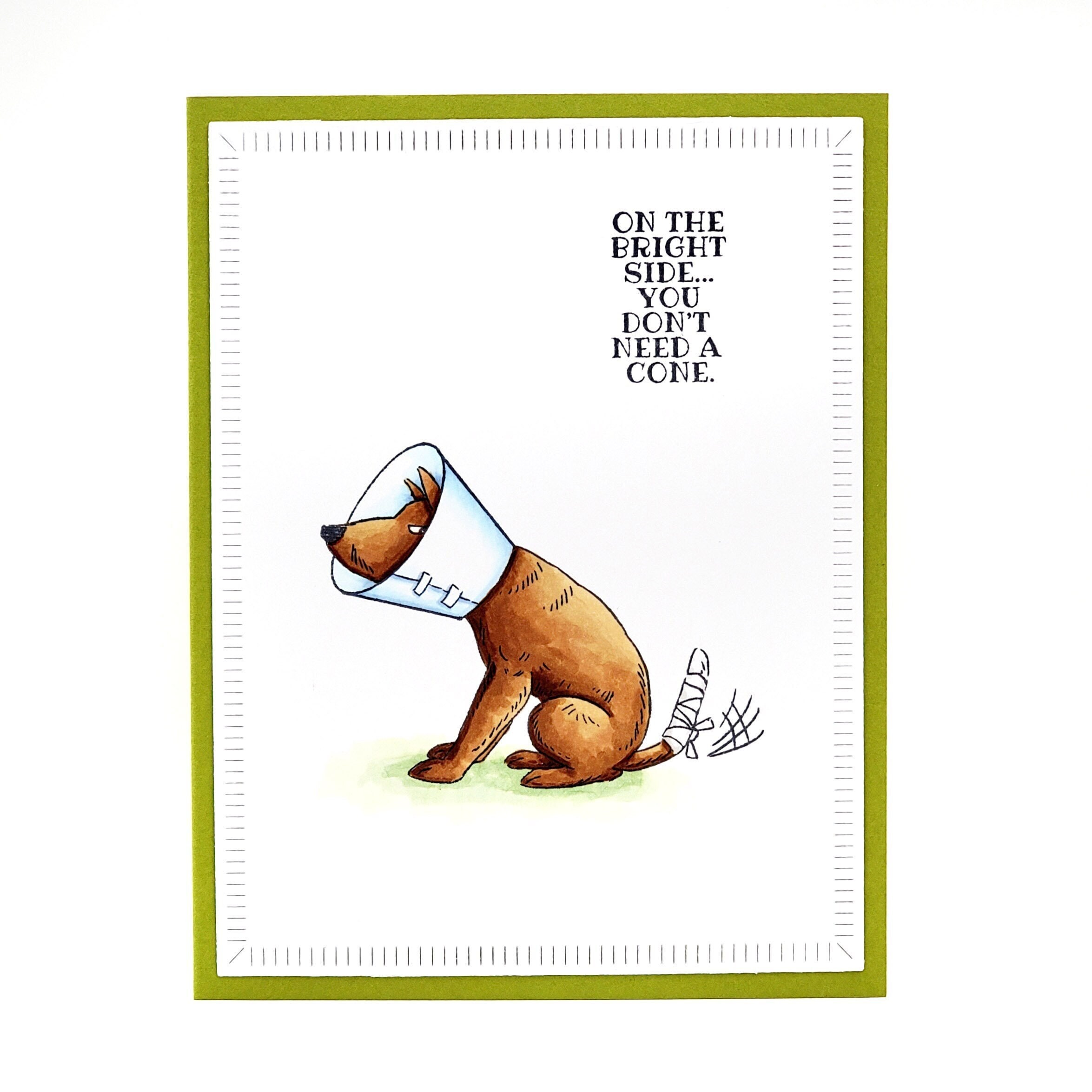 on-the-bright-side-you-don-t-need-a-cone-dog-in-cone-funny-get-well
