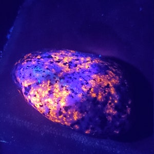 Puede incluir: Una roca ovalada y brillante con una superficie texturizada, iluminada por luz negra. La roca muestra un patrón vibrante de tonos naranja y púrpura, con manchas oscuras dispersas por su superficie. La roca descansa sobre una superficie oscura.