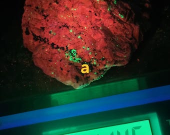 UV Reactive Willemite Franklinite Shortwave Fluorescent Mineral Display- Specimen for collectors. New Jersey
