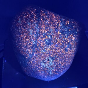 Puede incluir: Una roca grande y oscura con una textura rugosa, iluminada por una luz azul. La roca está cubierta de pequeños puntos de color naranja. La roca está en una balanza que lee 3153 lb:oz.