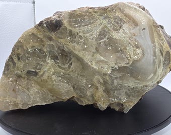 Wyoming Limb Cast Petrified Wood, fossil, Botryoidal, Fluorescent, Chalcedony,  Agate,  Calcite, Opal