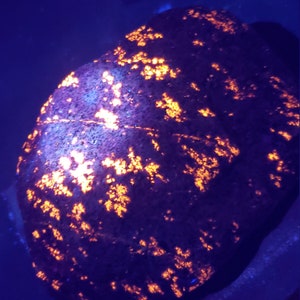 Yooperlite, yooperstone, emberlite, collectors piece fluorescent sodalite! Super bright, rare, unique, lake Superior, Upper Michigan, Yooper