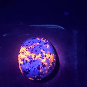 Yooperlite, yooperstone, emberlite, collectors piece fluorescent sodalite! Super bright, rare, unique, lake Superior, Upper Michigan, Yooper