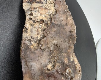 Wyoming Blue Forest Petrified Wood, Botryoidal, Fluorescent, Chalcedony,  Agate,  Calcite, Opal