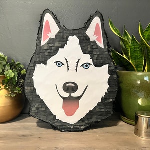 Animal Husky Pomsky Wolf Dog Breed Handmade Pinata | Birthday Party Piñata Decor