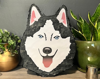 Animal Husky Pomsky Wolf Dog Breed Handmade Pinata | Birthday Party Piñata Decor