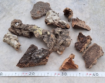 0,2 kg, pezzi di corteccia di sughero, dal Portogallo, per piante e terrari