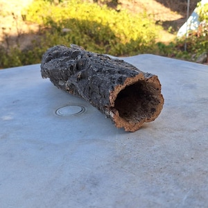 Può includere: Un pezzo di corteccia di sughero cavo, perfetto per essere utilizzato come nascondiglio per rettili o tana per piccoli animali.