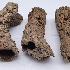 Pode incluir: Três pedaços de casca de cortiça natural com centros ocos. A casca é marrom e tem uma textura áspera. As peças são de tamanhos e formas diferentes.