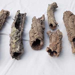 Könnte beinhalten: Sechs Stücke natürliche Korkrinde, jede mit einem hohlen Zentrum, perfekt für Reptilien- oder Kleintierhabitate. Die Rinde ist hellbraun mit einer rauen Textur.