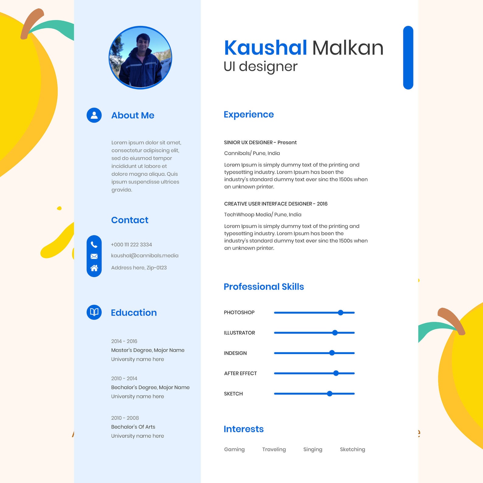Professional UI Designer Resume Template/ User Interface / - Etsy