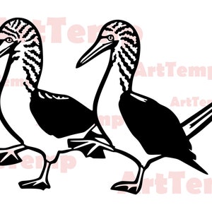 Blau Fuß Booby DXF, Svg für Cricut, Dxf für Laser-Cnc, Plasma, Papercut-Vorlage, Lake Wildlife Clipart Vektor-Wand-Kunst, exotische Navogel