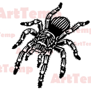 Spider SVG, Spider Tarantula SVG, Spider Web svg cut file, svg for cricut, Silhouette Dxf file, spider vector, T-Shirt Design, Spider png