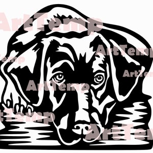 Labrador SVG, Dog dxf cut file, vector svg for cricut, clipart, shirt design vinyl, Dog Cut file, laser cnc file, dog design art printable