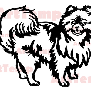 Pomeranian SVG, Silhouetten dxf, Hund SVG für Cricut, Pomeranian Clipart, Laser cut Vektor Modell, Bügelbild, Vinyl Shirt Shirt, dxf für Plasma