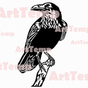Raven svg, Raven Silhouette dxf, SVG for Cricut, Raven clipart, laser cut file, vinyl shirt design, dxf file for plasma, Crow svg, bird cnc