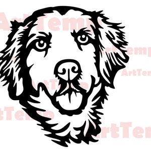 Golden Retriever SVG, Dog dxf cut bestand, huisdier svg voor cricut, dxf voor laser cnc, Retriever clipart, Silhouetten dxf, vector hond shirt ontwerp