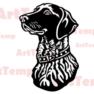 Puede incluir: Ilustración en blanco y negro de la cabeza de un perro con collar. El perro tiene un pelaje corto y liso y un hocico largo y puntiagudo.