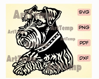 Op de afbeelding: Zwart-witte silhouet van een dwergkees die zit met zijn hoofd naar de zijkant gedraaid. De hond draagt een halsband met een gesp.