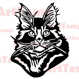 Portrait d’un chat dxf, Maine Coon Svg, Cat Clipart, Cat Vector, Kitty SVG, Cricut Design, Cat Silhouette Studio, Svg Cut Files, chemise svg