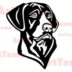 Könnte beinhalten: Schwarzweiß-Illustration des Kopfes eines Deutsch Kurzhaar-Hundes. Der Hund schaut nach rechts im Bild.