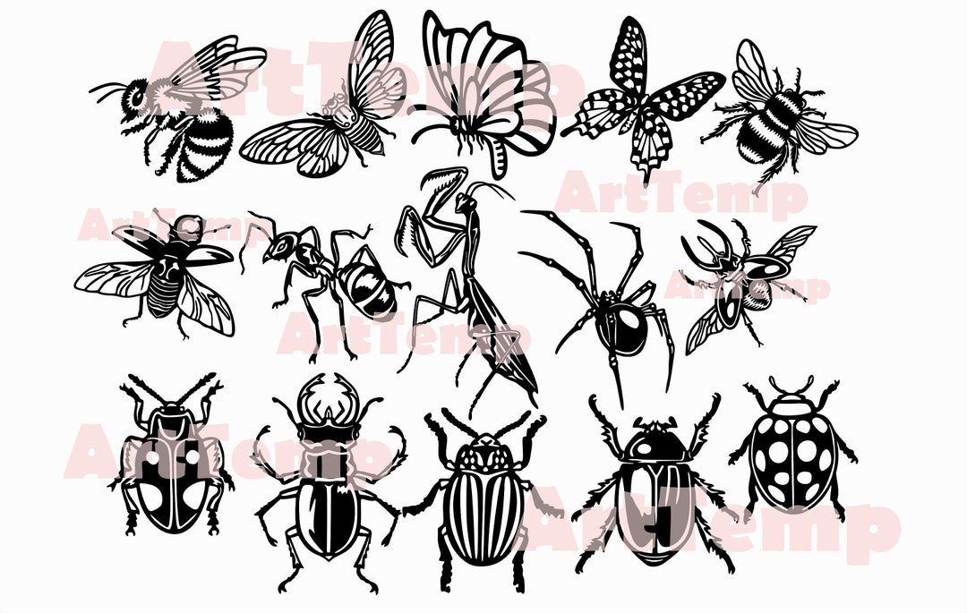 Insects Racing Svg Insect SVG Bundle: Laser Cut Files, CNC, Cricut (digital Download) - Etsy