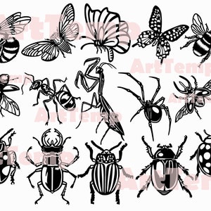 Insects Bundle svg, dxf for laser cnc, papercut template, ladybug clipart, wood wall art Cicada  silhouette svg, svg for cricut, vinyl file