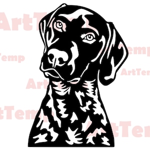 May include: Black and white illustration of a German Shorthaired Pointer dog's head. The dog is looking to the left with its ears perked up.
