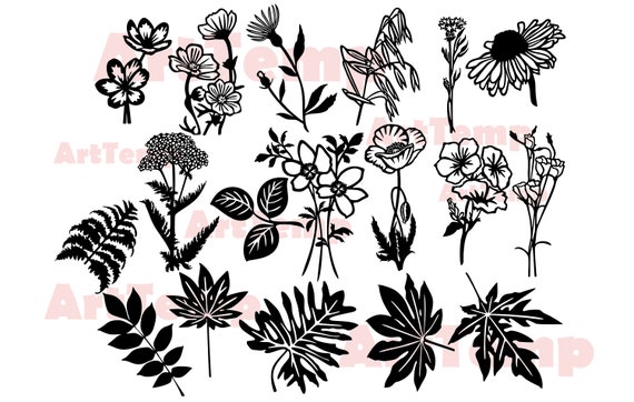 Herbario svg flores silvestres svg svg floral Siluetas dxf - Etsy España Herbario svg flores silvestres svg svg floral Siluetas dxf - Etsy España