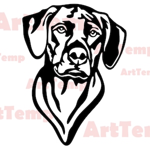 Puede incluir: Silueta en blanco y negro de la cabeza de un perro Bloodhound. El perro mira hacia adelante con las orejas levantadas.