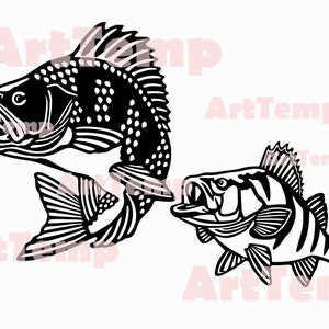 Cernia pesce SVG, file di taglio DXF di pesce, svg per cricut, dxf per laser cnc, plasma, modello papercut, arte della parete in legno vettoriale clipart della fauna selvatica.