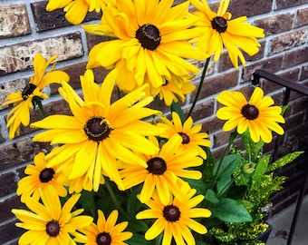 Rudbeckia Hirta (seeds) Indian Summer