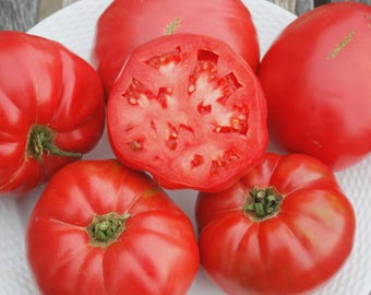 Tomate (semillas) Semillas de tomate rosa alemán Fruta grande y dulce Vegetal Fácil de cultivar Planta viva comestible fresca Jardín o contenedor Regalo Jardinero