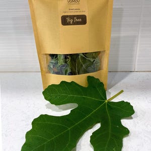 May include: A tan stand-up pouch with a clear window containing dried leaves, labeled VoMoV Fig Tree, organic, hand-picked, air-dried. A single, large, five-lobed green fig leaf is positioned in front of the pouch on a white surface.