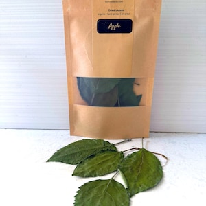 Op de afbeelding: Een bruin papieren zakje met een doorzichtig venster met gedroogde appelbladeren. Het etiket vermeldt VoMoV, Dried Leaves, organic | hand-picked | air-dried en Apple. Drie gedroogde groene bladeren met zichtbare nerven liggen voor het zakje.