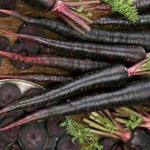 May include: A close-up of black carrots with green tops and sliced rounds. The carrots, with a deep purple hue, are arranged on a wooden surface. Some are whole, others sliced. The image shows a fresh vegetable harvest.