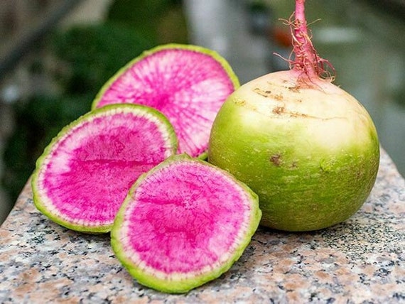 Ravanello Cinese: Il Daikon! Una Radice Dall'oriente - Foto 4