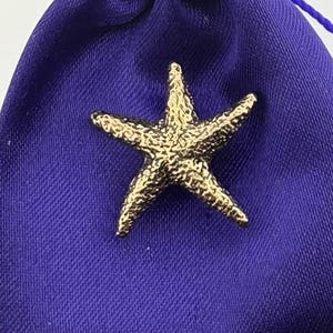 Peut inclure: Un charme étoile de mer de couleur dorée sur une pochette en velours violet.