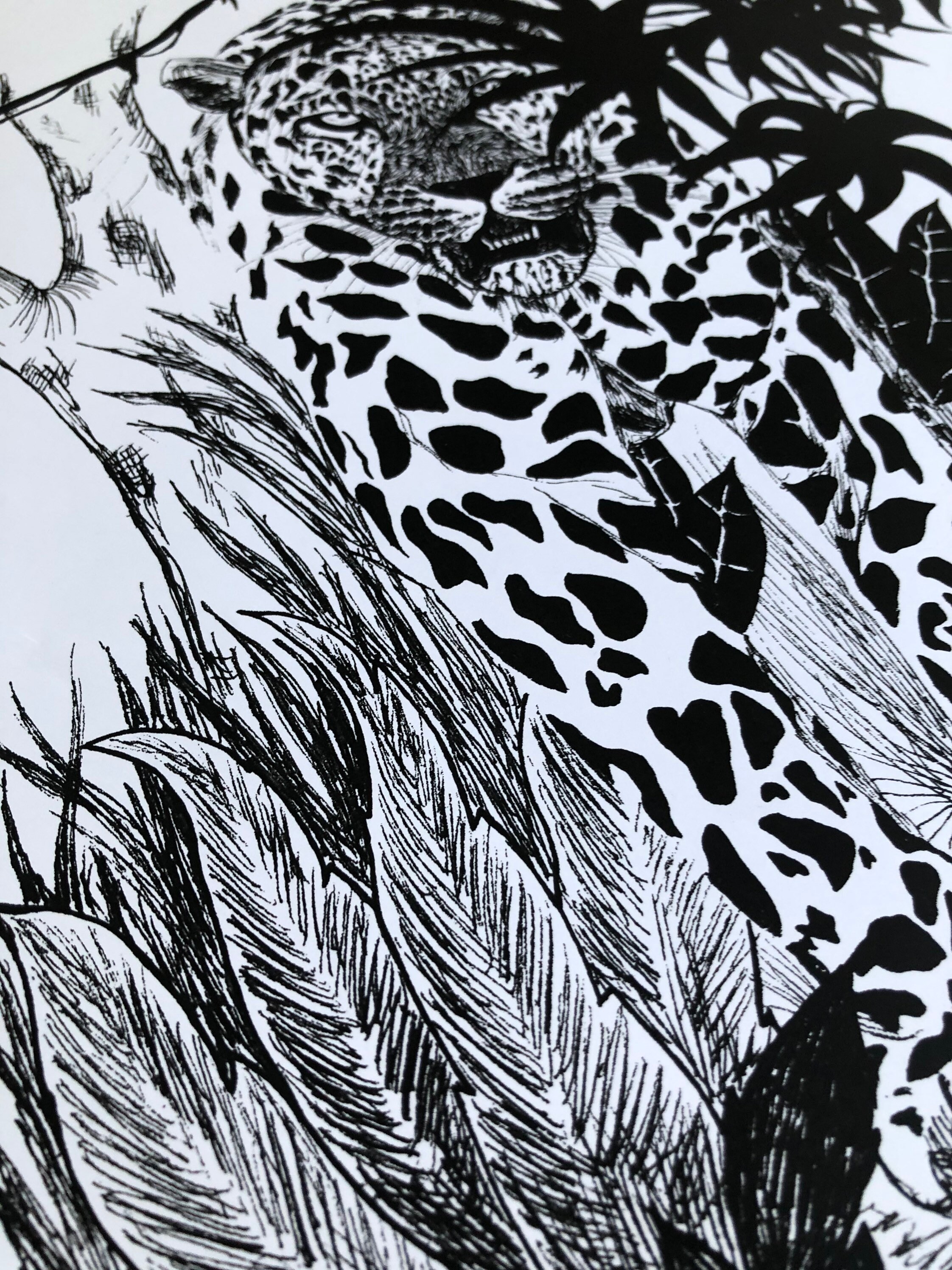 Leopard Ink Line Art Print - Etsy