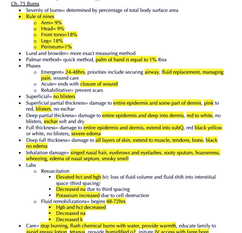 ATI Med Surg Study Guide Etsy