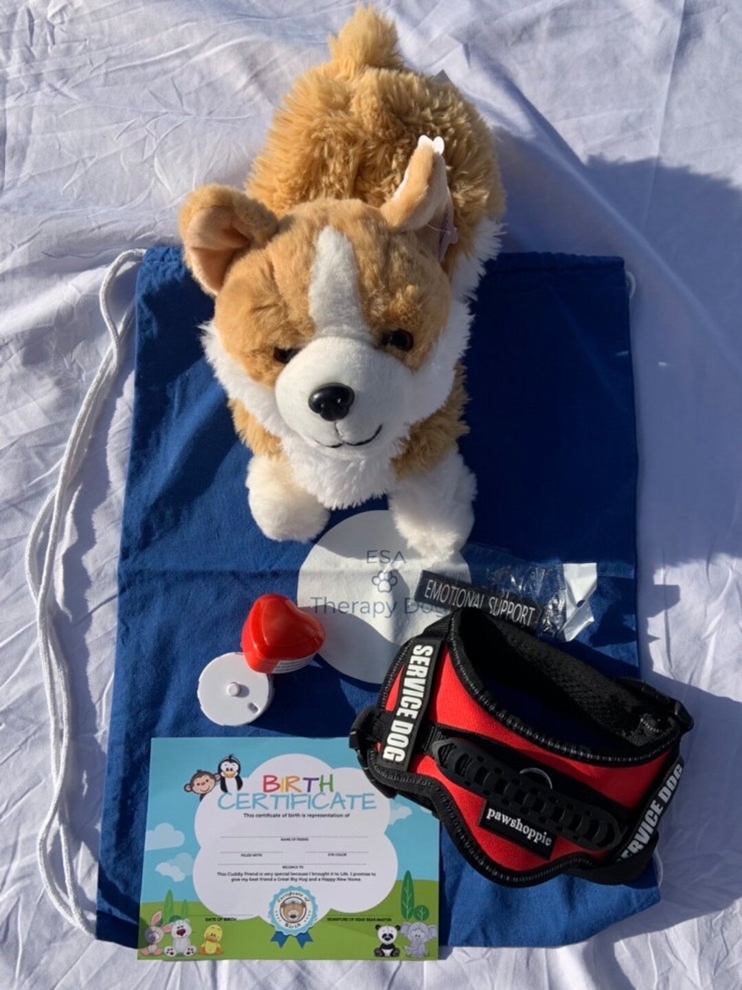 Corgi ESA Therapy Dog Kit Etsy